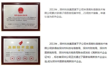 澤林信息科技集團(tuán)簡介